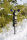 Basis Wetterstation 4 Funktionen
