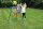 Standbasketballkorb