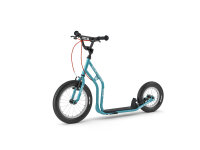 Hort Roller Blau