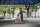 Hort Roller Blau